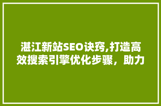 湛江新站SEO诀窍,打造高效搜索引擎优化步骤，助力网站脱颖而出