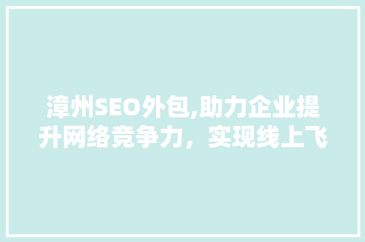 漳州SEO外包,助力企业提升网络竞争力，实现线上飞跃
