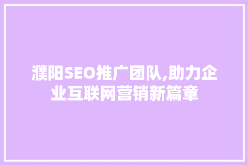 濮阳SEO推广团队,助力企业互联网营销新篇章