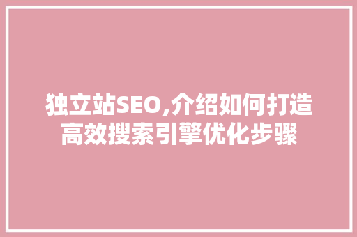 独立站SEO,介绍如何打造高效搜索引擎优化步骤