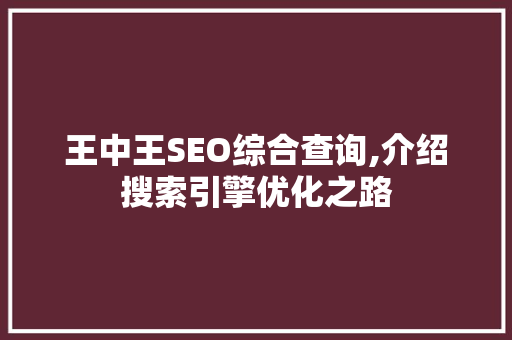 王中王SEO综合查询,介绍搜索引擎优化之路