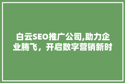 白云SEO推广公司,助力企业腾飞，开启数字营销新时代