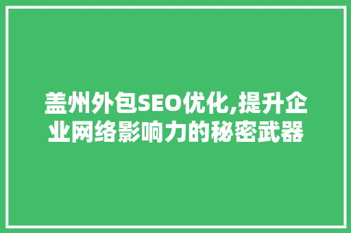 盖州外包SEO优化,提升企业网络影响力的秘密武器  第1张