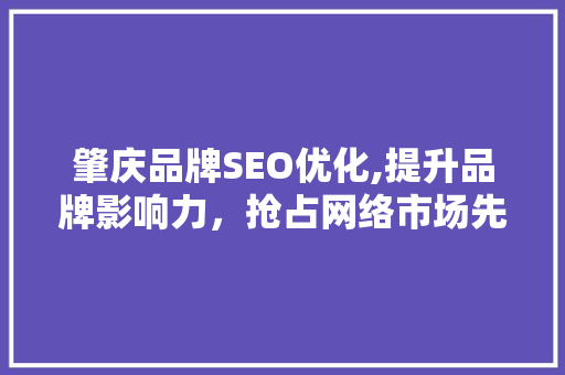 肇庆品牌SEO优化,提升品牌影响力，抢占网络市场先机