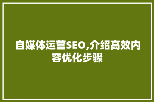 自媒体运营SEO,介绍高效内容优化步骤  第1张
