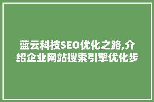 蓝云科技SEO优化之路,介绍企业网站搜索引擎优化步骤  第1张