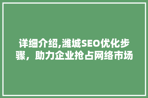 详细介绍,潍城SEO优化步骤，助力企业抢占网络市场高地