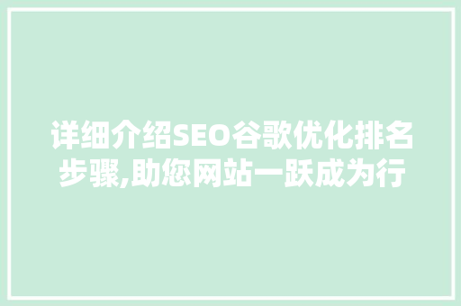 详细介绍SEO谷歌优化排名步骤,助您网站一跃成为行业翘楚