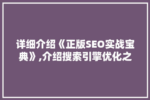 详细介绍《正版SEO实战宝典》,介绍搜索引擎优化之路  第1张