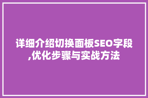 详细介绍切换面板SEO字段,优化步骤与实战方法