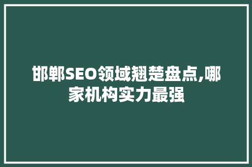 邯郸SEO领域翘楚盘点,哪家机构实力最强