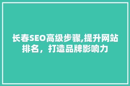长春SEO高级步骤,提升网站排名，打造品牌影响力  第1张