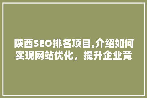 陕西SEO排名项目,介绍如何实现网站优化，提升企业竞争力