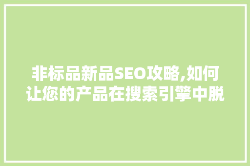 非标品新品SEO攻略,如何让您的产品在搜索引擎中脱颖而出
