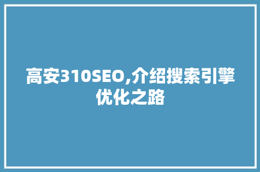 高安310SEO,介绍搜索引擎优化之路