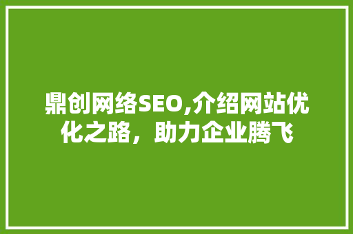 鼎创网络SEO,介绍网站优化之路，助力企业腾飞
