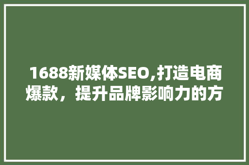 1688新媒体SEO,打造电商爆款，提升品牌影响力的方法