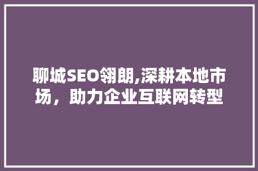 聊城SEO翎朗,深耕本地市场，助力企业互联网转型  第1张