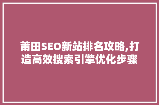 莆田SEO新站排名攻略,打造高效搜索引擎优化步骤