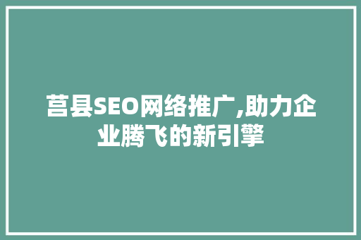 莒县SEO网络推广,助力企业腾飞的新引擎