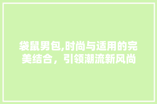 袋鼠男包,时尚与适用的完美结合，引领潮流新风尚