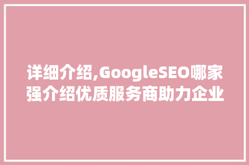 详细介绍,GoogleSEO哪家强介绍优质服务商助力企业腾飞之路