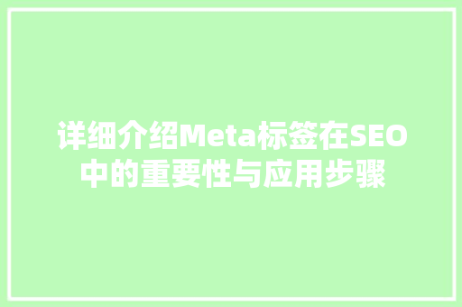 详细介绍Meta标签在SEO中的重要性与应用步骤