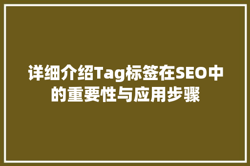 详细介绍Tag标签在SEO中的重要性与应用步骤