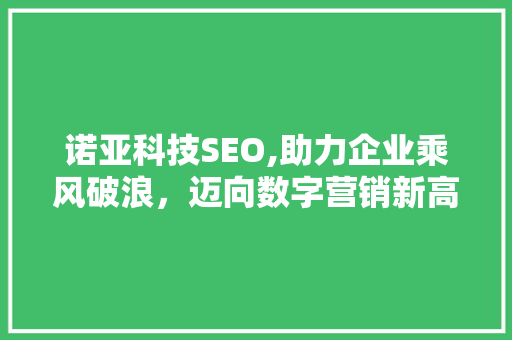 诺亚科技SEO,助力企业乘风破浪，迈向数字营销新高度