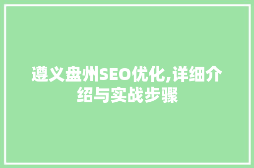 遵义盘州SEO优化,详细介绍与实战步骤