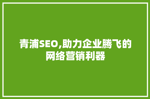 青浦SEO,助力企业腾飞的网络营销利器