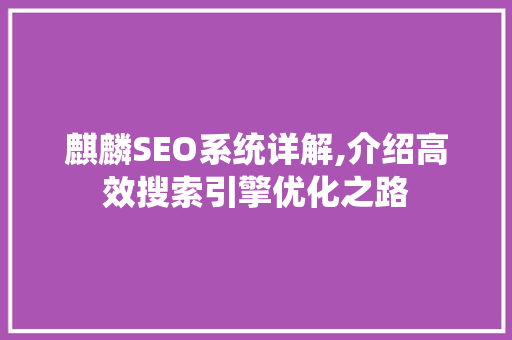 麒麟SEO系统详解,介绍高效搜索引擎优化之路