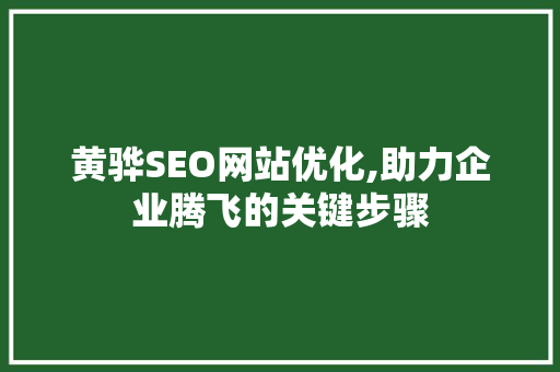黄骅SEO网站优化,助力企业腾飞的关键步骤