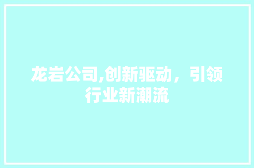 龙岩公司,创新驱动，引领行业新潮流