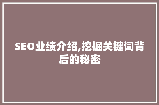 SEO业绩介绍,挖掘关键词背后的秘密