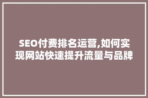 SEO付费排名运营,如何实现网站快速提升流量与品牌影响力