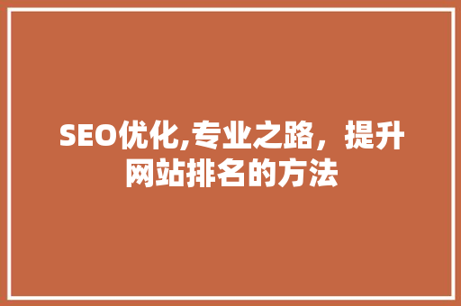 SEO优化,专业之路，提升网站排名的方法