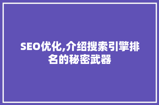 SEO优化,介绍搜索引擎排名的秘密武器