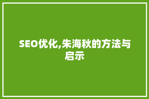 SEO优化,朱海秋的方法与启示