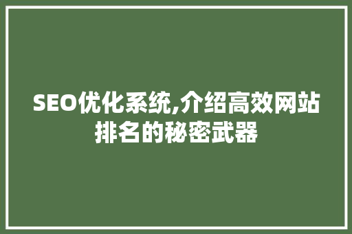 SEO优化系统,介绍高效网站排名的秘密武器