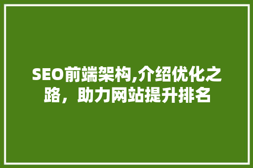 SEO前端架构,介绍优化之路，助力网站提升排名