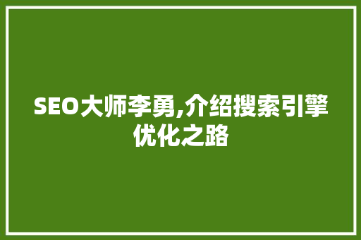 SEO大师李勇,介绍搜索引擎优化之路
