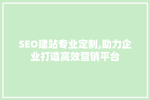 SEO建站专业定制,助力企业打造高效营销平台