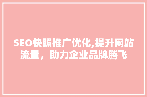 SEO快照推广优化,提升网站流量，助力企业品牌腾飞