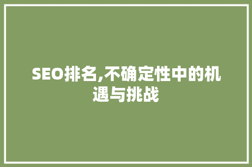SEO排名,不确定性中的机遇与挑战