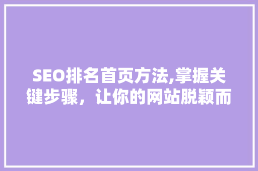 SEO排名首页方法,掌握关键步骤，让你的网站脱颖而出