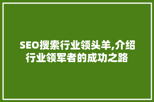 SEO搜索行业领头羊,介绍行业领军者的成功之路