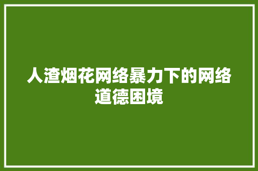 人渣烟花网络暴力下的网络道德困境