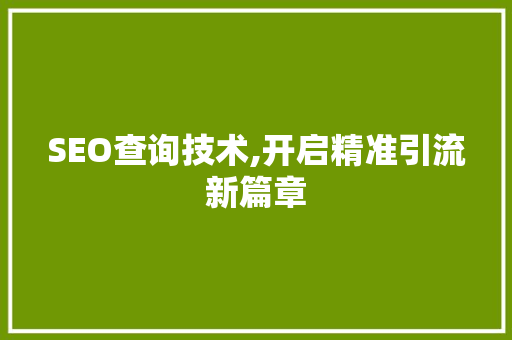 SEO查询技术,开启精准引流新篇章