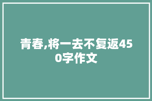 SEO网店推广步骤,助力电商企业提升流量与转化率